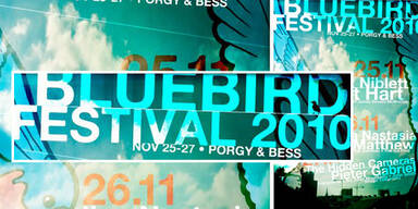 Blue Bird Festival 2010: Das Programm