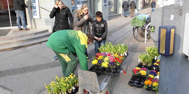 Gärtner brachten Frühling in die Stadt