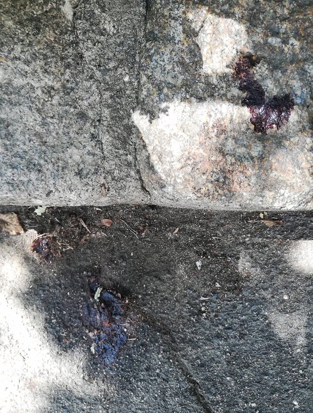 blut flecken
