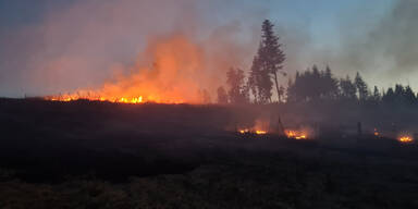 130 Feuerwehrleute kämpfen gegen Waldbrand in NÖ