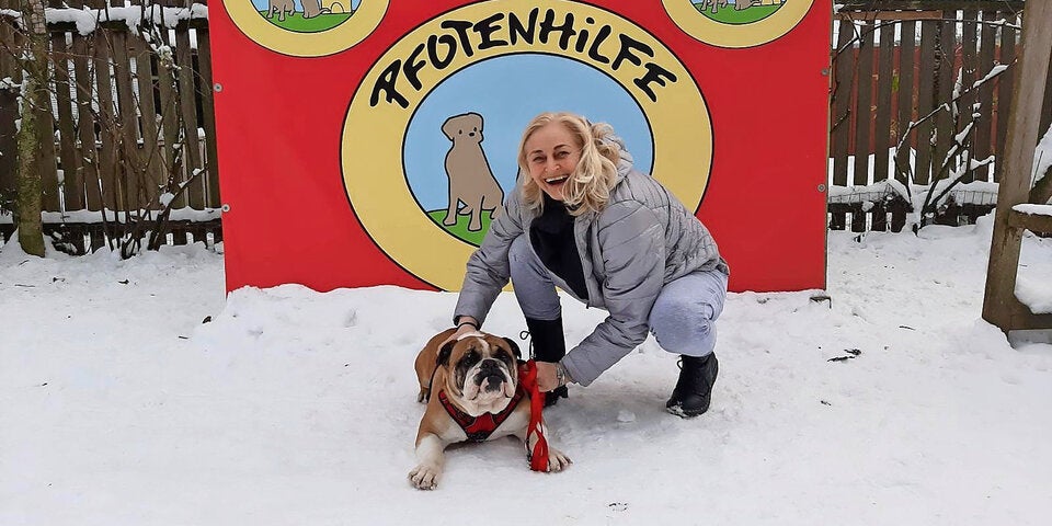 Bulldogge