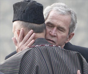 bush