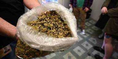 4,2 Tonnen Cannabis bei Marseille gefunden