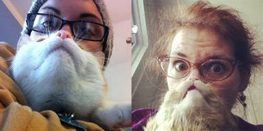 Irre: "Cat Bearding" ist totaler Internet-Trend