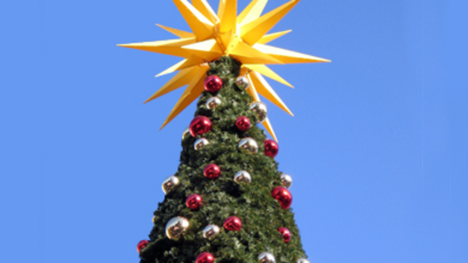 Wer hat den Christbaum erfunden? oe24.at