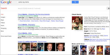 Genialer Google-Gag mit Chuck Norris-Witzen