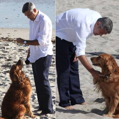 Clooney: Viel Spaß mit Hund am Strand