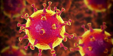 beispielbild für den coronavirus