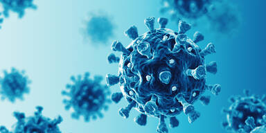 Studie: Coronavirus befällt menschliches Stresssystem