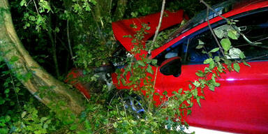 Höhenstraße: Auto rast frontal gegen Baum