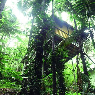 Die schönsten Dschungel-Hotels