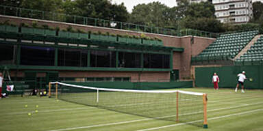 daviscup wimbledon