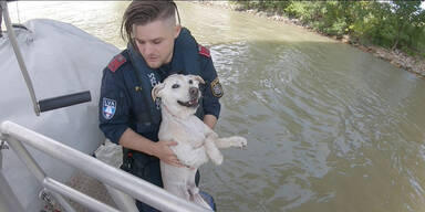 Wiener Wasserpolizei rettete in der Donau treibenden Hund