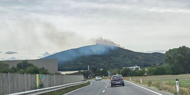 Waldbrand im Bezirk Baden sorgt für Feuerwehr-Großeinsatz