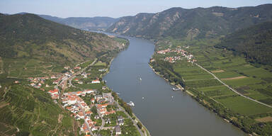 Schwangere erschlagen und in Donau geworfen