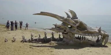 Ein Drachenschädel mitten am Strand