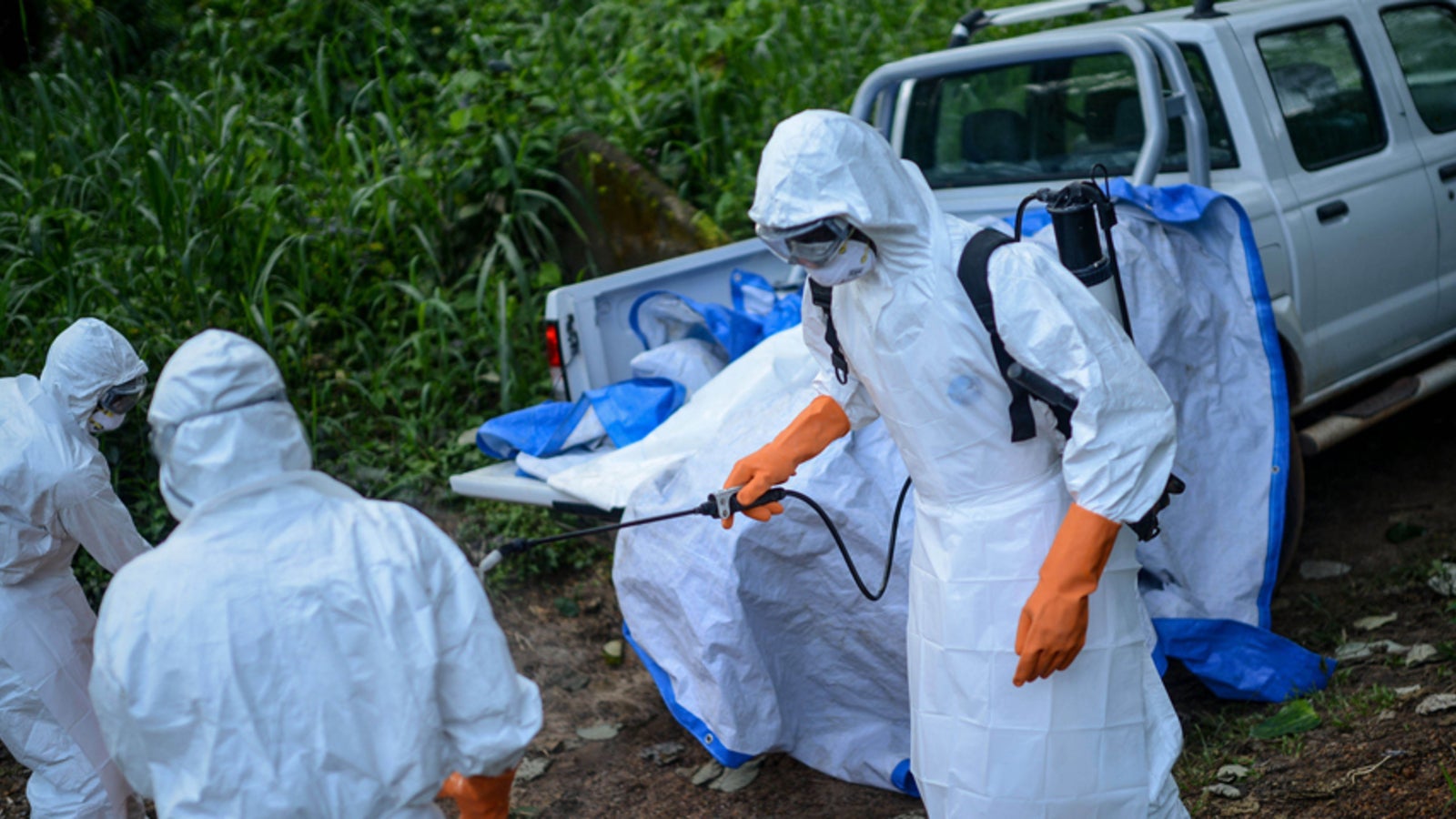 Krankheit X Forscher warnt vor VirusApokalypse oe24.at