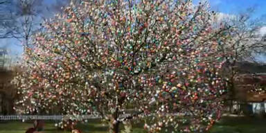 Osterbaum mit über 10.000 Eiern