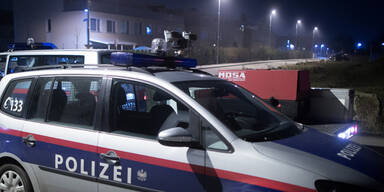 Autoeinbrecher in Wien geschnappt