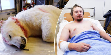 Sonnenfinsternis: Eisbär verletzt Touristen