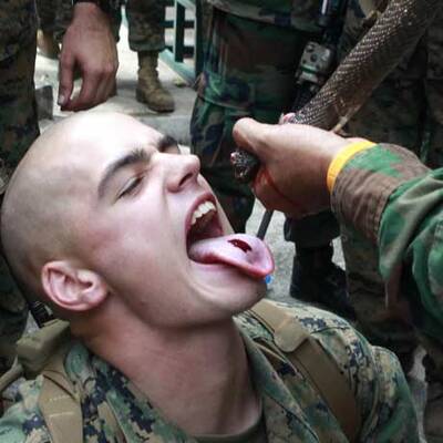 Soldaten trinken Schlangenblut