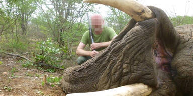Naturschützer erschießt Elefanten in Afrika 