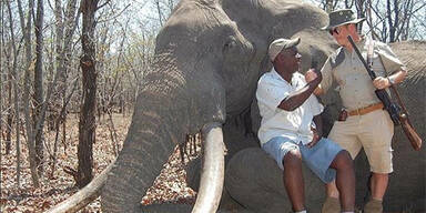 Deutscher Jäger tötet legendären Elefanten