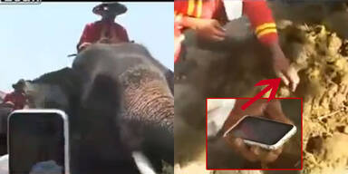 Elefant kackt klingelndes iPhone