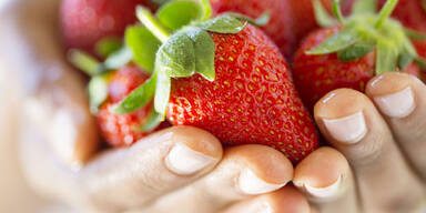 Noroviren: Hofer ruft Erdbeeren zurück