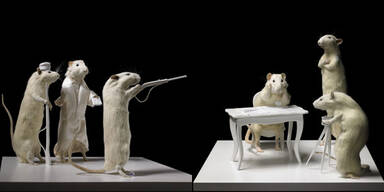1914/2014 - Weiße Ratten bei Essl: Deborah Sengls Kraus-Installation