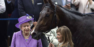 Doping-Skandal um Rennpferd der Queen
