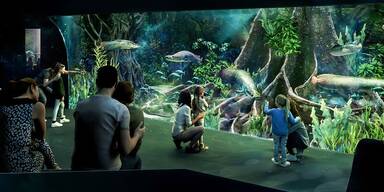 Neue Attraktion: Schönbrunn bekommt Mega-Aquarium