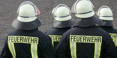 Drei Verletzte bei Brand in Wiener Neustadt