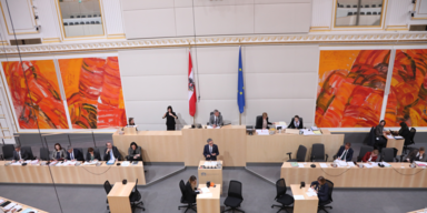 Parlament will Hygiene Austria klagen