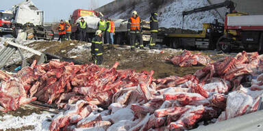 Unfall: 25 Tonnen Rinderhälften auf A5