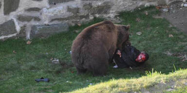 Hier attackiert der Bär Finn sein Opfer