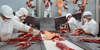 Großrazzien wegen illegaler Leiharbeit in deutscher Fleischindustrie