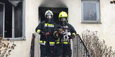 Diese Floriani retten Hund aus Flammen