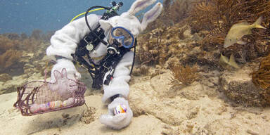 "Osterhase" Slate versteckte Eier im Meer