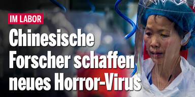 Chinesische Forscher schaffen neues Horror-Virus