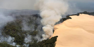 Touristenparadies Fraser Island steht in Flammen