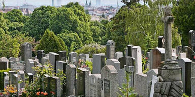 Friedhof Wien