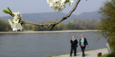 Turbo-Frühling gibt sechs Tage Vollgas