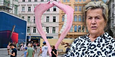 "Zumutung": Wirbel um Riesen-Vagina in Wien