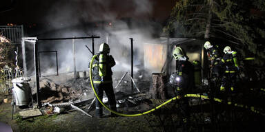 Hündin "Nala" verhinderte fatalen Wohnhausbrand