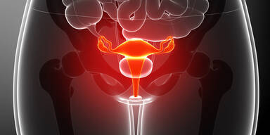 Geburt nach Gebärmutter-Transplantation