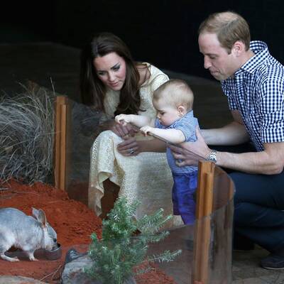 William & Kate: Zoobesuch mit Baby George