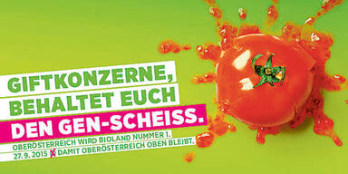 Wahl- Plakate im Check