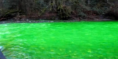 Goldstream River grün