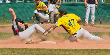 Wr. Neustadt Diving Ducks gegen Traiskirchen Grasshoppers